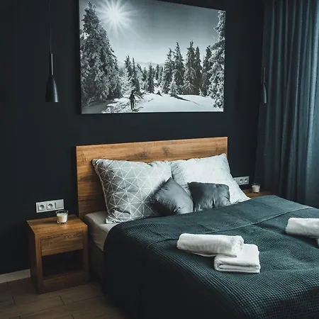 Pod Stokiem 200 M Do Kolejki Na Skrzyczne - Apart-hotel Szczyrk